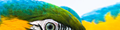 Parrotlife Pet Supplies- Logo - reviews